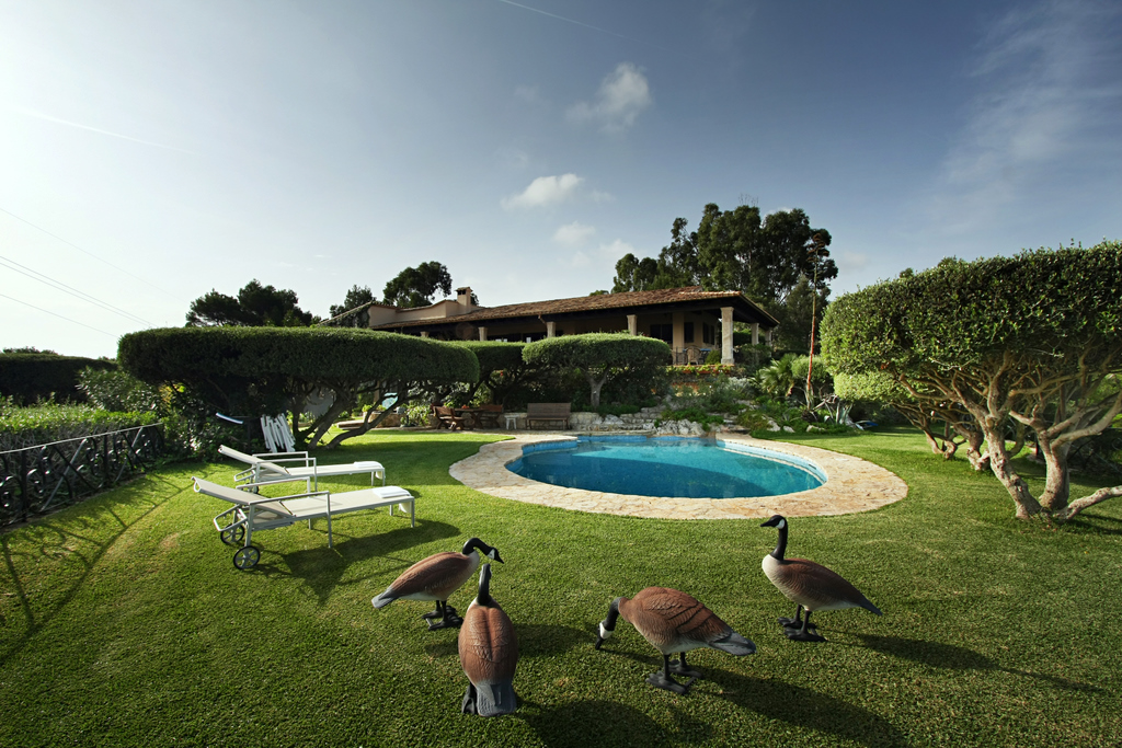 MallorcaOasis View