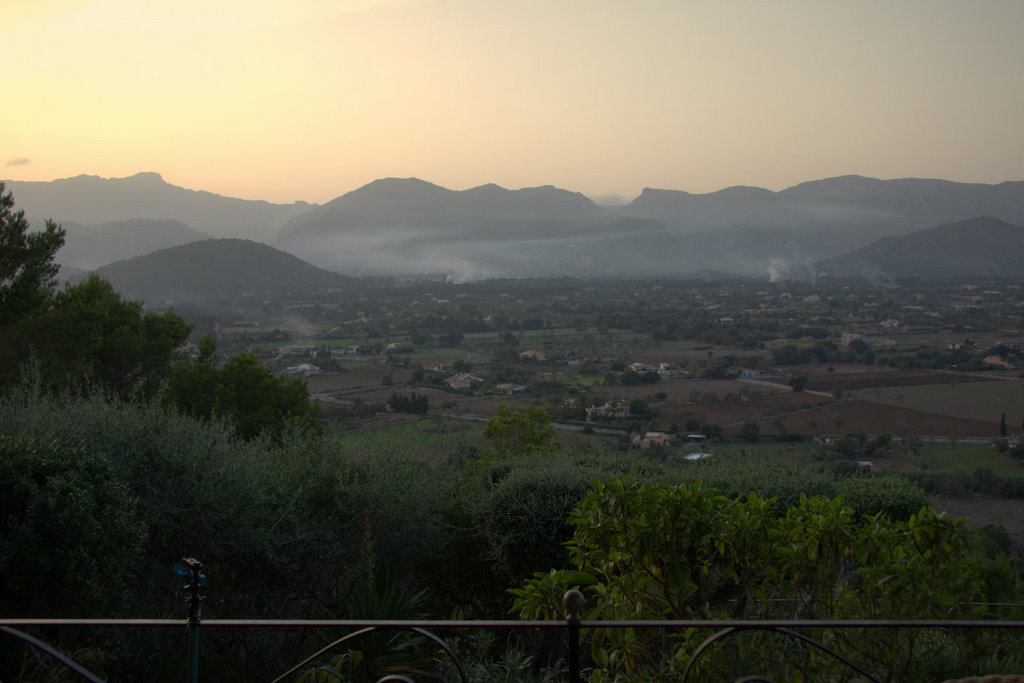 MallorcaOasis View